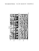 INFORMATION PROCESSING APPARATUS, INFORMATION PROCESSING METHOD, AND     PROGRAM diagram and image