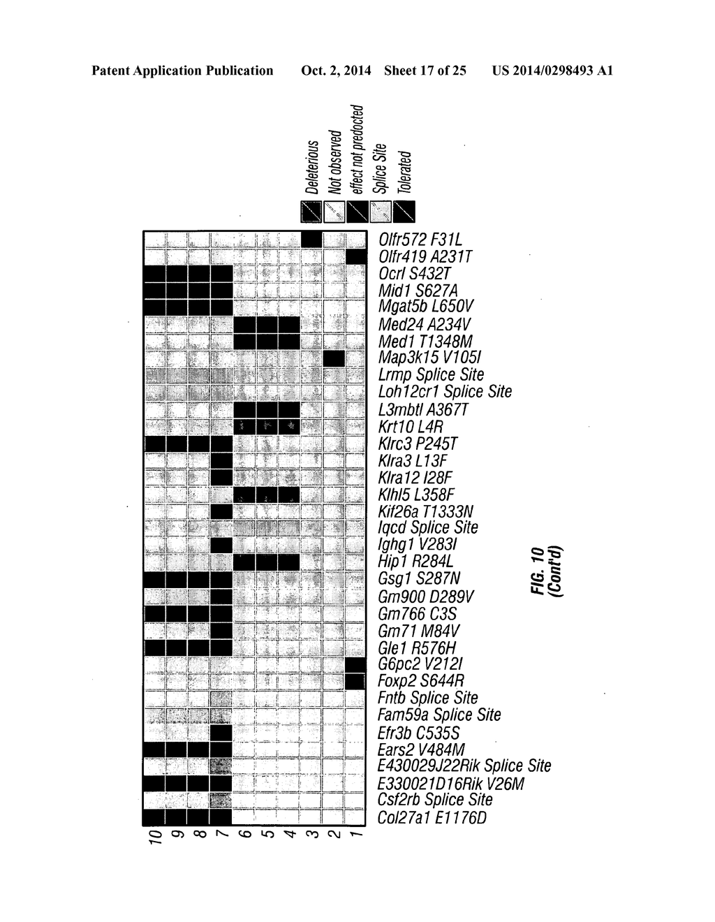 PIK3CA H1047R Knock-In Non-Human Animal Breast Cancer Model - diagram, schematic, and image 18