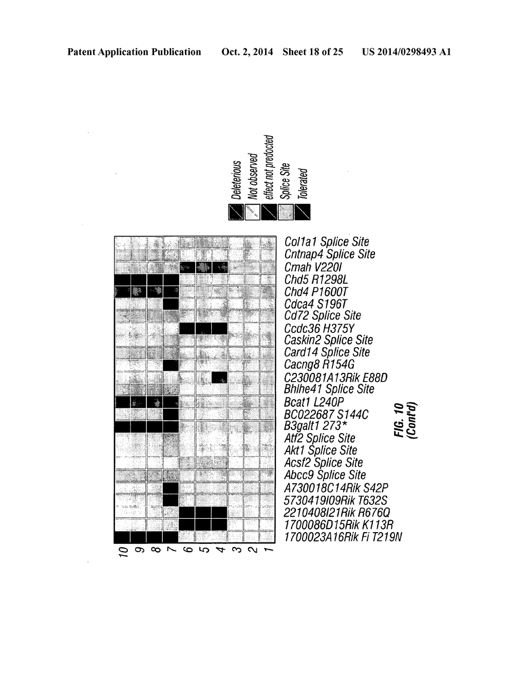 PIK3CA H1047R Knock-In Non-Human Animal Breast Cancer Model - diagram, schematic, and image 19