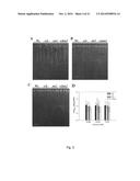 COPPER RESISTANT PLANT AND USE FOR PHYTOREMEDIATION diagram and image