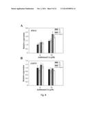 COPPER RESISTANT PLANT AND USE FOR PHYTOREMEDIATION diagram and image