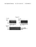 PLANT CO2 SENSORS, NUCLEIC ACIDS ENCODING THEM, AND METHODS FOR MAKING AND     USING THEM diagram and image