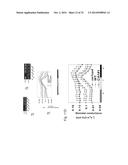 PLANT CO2 SENSORS, NUCLEIC ACIDS ENCODING THEM, AND METHODS FOR MAKING AND     USING THEM diagram and image