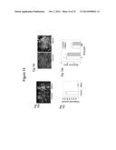 PLANT CO2 SENSORS, NUCLEIC ACIDS ENCODING THEM, AND METHODS FOR MAKING AND     USING THEM diagram and image