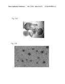 PLANT CO2 SENSORS, NUCLEIC ACIDS ENCODING THEM, AND METHODS FOR MAKING AND     USING THEM diagram and image