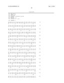 PLANT CO2 SENSORS, NUCLEIC ACIDS ENCODING THEM, AND METHODS FOR MAKING AND     USING THEM diagram and image