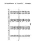 FREQUENCY BASED PROVER APPARATUS AND METHOD diagram and image