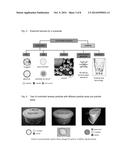 SHELLAC-COATED PARTICLES OF ACTIVE INGREDIENTS WITH CONTROLLED RELEASE     PROPERTIES AT HIGH PH-VALUES, PROCESS FOR THEIR MANUFACTURE AND USE     THEREOF diagram and image