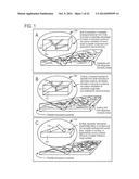 STRUCTURES WITH SURFACE-EMBEDDED ADDITIVES AND RELATED MANUFACTURING     METHODS diagram and image