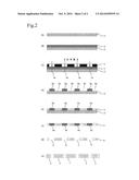 BIOMOLECULE CAPTURING FILTER diagram and image