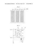 ORGANIC ELECTROLUMINESCENCE DISPLAY PANEL AND ORGANIC ELECTROLUMINESCENCE     DISPLAY APPARATUS diagram and image