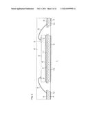 SEMICONDUCTOR DEVICE diagram and image