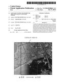 NAVIGATION SYSTEM AND METHOD FOR DISPLAYING MAP ON NAVIGATION SYSTEM diagram and image