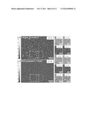 MASKLESS IMAGING OF DENSE SAMPLES USING MULTI-HEIGHT LENSFREE MICROSCOPE diagram and image