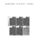 MASKLESS IMAGING OF DENSE SAMPLES USING MULTI-HEIGHT LENSFREE MICROSCOPE diagram and image