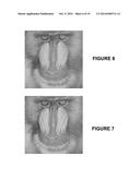 AUTOSTEREOSCOPIC DISPLAYS diagram and image