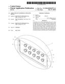 STRUCTURE OF OUTDOOR ILLUMINATING DEVICE diagram and image