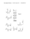 METHODS TO PREDICT BINDING AFFINITY OF TSPO IMAGING AGENTS TO TSPO diagram and image