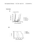 COMPOSITIONS, METHODS AND USES FOR TREATING SOLID TUMORS USING LCMV-GP-VSV     PSEUDOTYPE VECTORS diagram and image