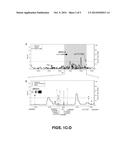 PREDICTING AND DIAGNOSING PATIENTS WITH SYSTEMIC LUPUS ERYTHEMATOSUS diagram and image