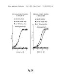 MULTISPECIFIC AND MULTIVALENT BINDING PROTEINS AND USES THEREOF diagram and image