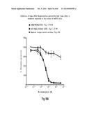 MULTISPECIFIC AND MULTIVALENT BINDING PROTEINS AND USES THEREOF diagram and image