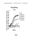 MULTISPECIFIC AND MULTIVALENT BINDING PROTEINS AND USES THEREOF diagram and image