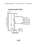 MULTISPECIFIC AND MULTIVALENT BINDING PROTEINS AND USES THEREOF diagram and image