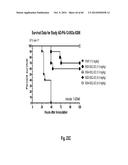 MULTISPECIFIC AND MULTIVALENT BINDING PROTEINS AND USES THEREOF diagram and image