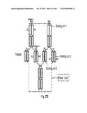 MULTISPECIFIC AND MULTIVALENT BINDING PROTEINS AND USES THEREOF diagram and image