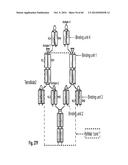 MULTISPECIFIC AND MULTIVALENT BINDING PROTEINS AND USES THEREOF diagram and image