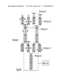 MULTISPECIFIC AND MULTIVALENT BINDING PROTEINS AND USES THEREOF diagram and image