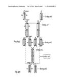 MULTISPECIFIC AND MULTIVALENT BINDING PROTEINS AND USES THEREOF diagram and image