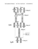 MULTISPECIFIC AND MULTIVALENT BINDING PROTEINS AND USES THEREOF diagram and image