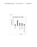 COMBINATION THERAPY USING ANTI-C-MET ANTIBODY AND ANTI-ANG-2 ANTIBODY diagram and image