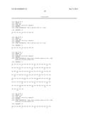 COMBINATION THERAPY USING ANTI-C-MET ANTIBODY AND ANTI-ANG-2 ANTIBODY diagram and image