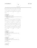 COMBINATION THERAPY USING ANTI-C-MET ANTIBODY AND ANTI-ANG-2 ANTIBODY diagram and image