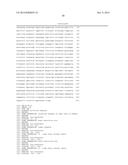 COMBINATION THERAPY USING ANTI-C-MET ANTIBODY AND ANTI-ANG-2 ANTIBODY diagram and image