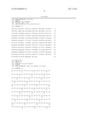 COMBINATION THERAPY USING ANTI-C-MET ANTIBODY AND ANTI-ANG-2 ANTIBODY diagram and image