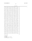 COMBINATION THERAPY USING ANTI-C-MET ANTIBODY AND ANTI-ANG-2 ANTIBODY diagram and image