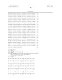 COMBINATION THERAPY USING ANTI-C-MET ANTIBODY AND ANTI-ANG-2 ANTIBODY diagram and image