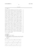 COMBINATION THERAPY USING ANTI-C-MET ANTIBODY AND ANTI-ANG-2 ANTIBODY diagram and image