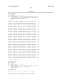 COMBINATION THERAPY USING ANTI-C-MET ANTIBODY AND ANTI-ANG-2 ANTIBODY diagram and image