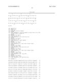 COMBINATION THERAPY USING ANTI-C-MET ANTIBODY AND ANTI-ANG-2 ANTIBODY diagram and image