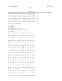 COMBINATION THERAPY USING ANTI-C-MET ANTIBODY AND ANTI-ANG-2 ANTIBODY diagram and image