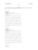 COMBINATION THERAPY USING ANTI-C-MET ANTIBODY AND ANTI-ANG-2 ANTIBODY diagram and image