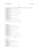 COMBINATION THERAPY USING ANTI-C-MET ANTIBODY AND ANTI-ANG-2 ANTIBODY diagram and image