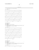 COMBINATION THERAPY USING ANTI-C-MET ANTIBODY AND ANTI-ANG-2 ANTIBODY diagram and image