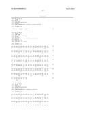 Novel Antibodies and Uses Thereof diagram and image