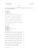 Novel Antibodies and Uses Thereof diagram and image